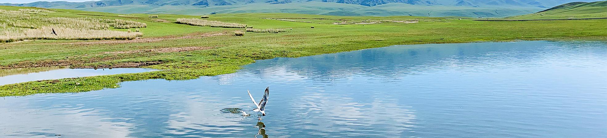 China Travel News