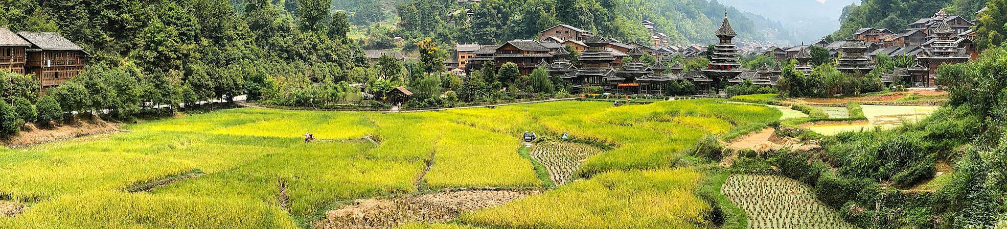 Guizhou