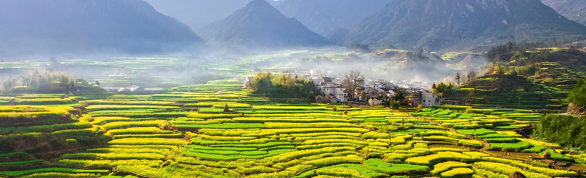 Hong village