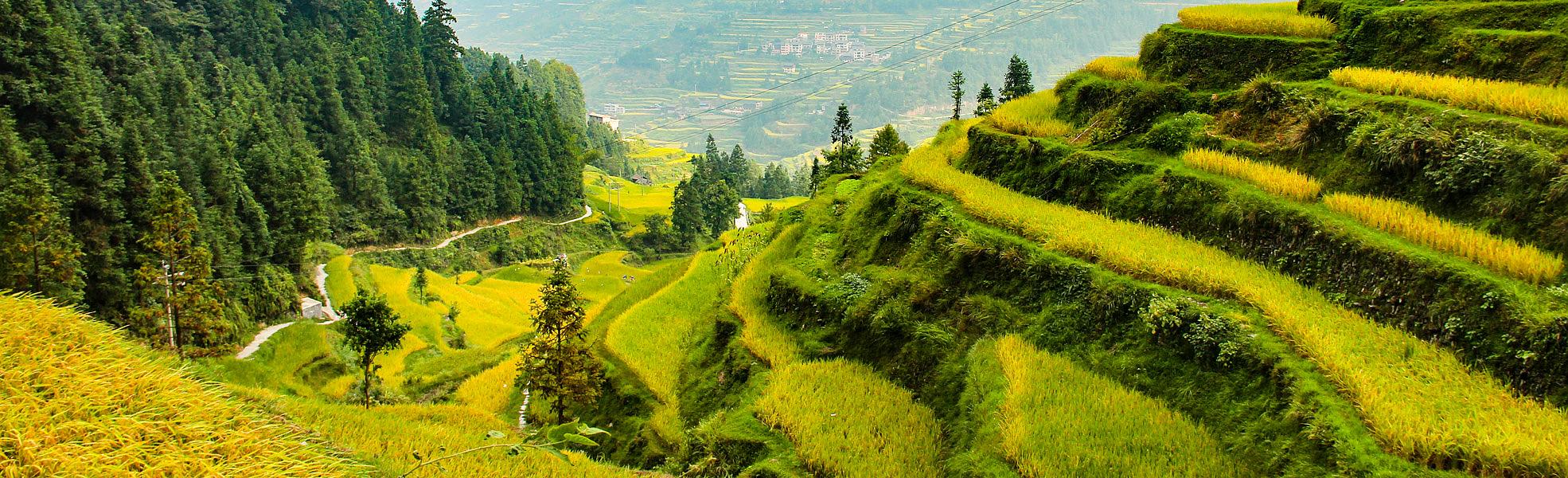 Rice Terraces of Gaoyao Village