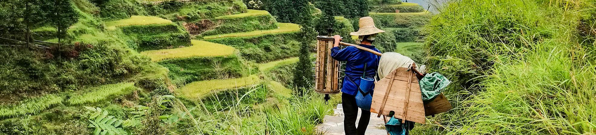 Travel Essentials & Support